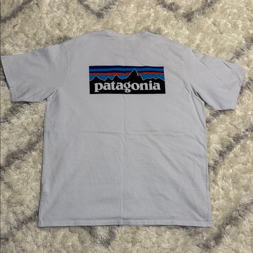Patagonia Light Gray Men's Tee with Logo